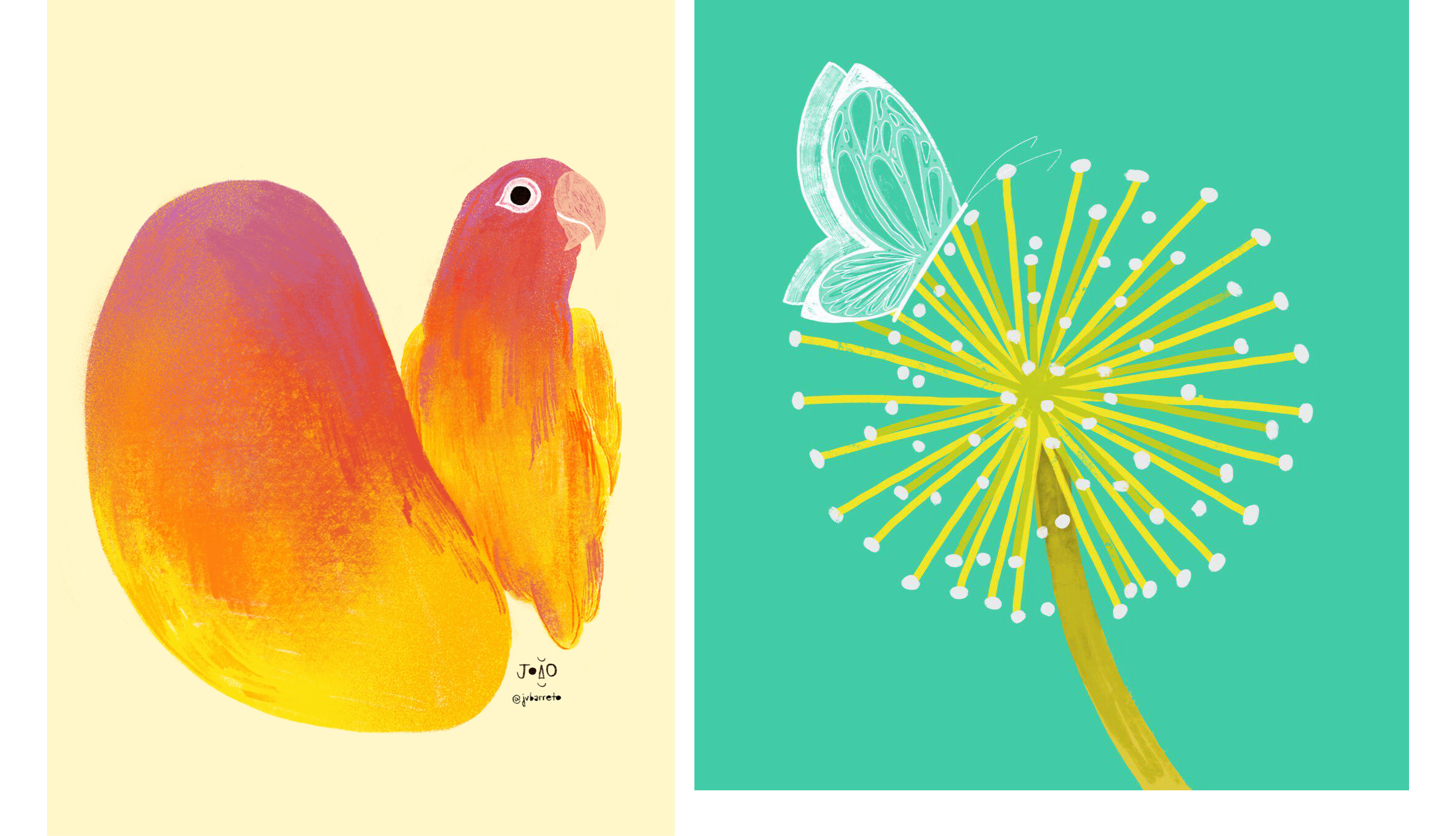 Ilustrações feitas por João Barreto. Da esquerda para a direita: manga ao lado de pássaro; borboleta em um dente de leão