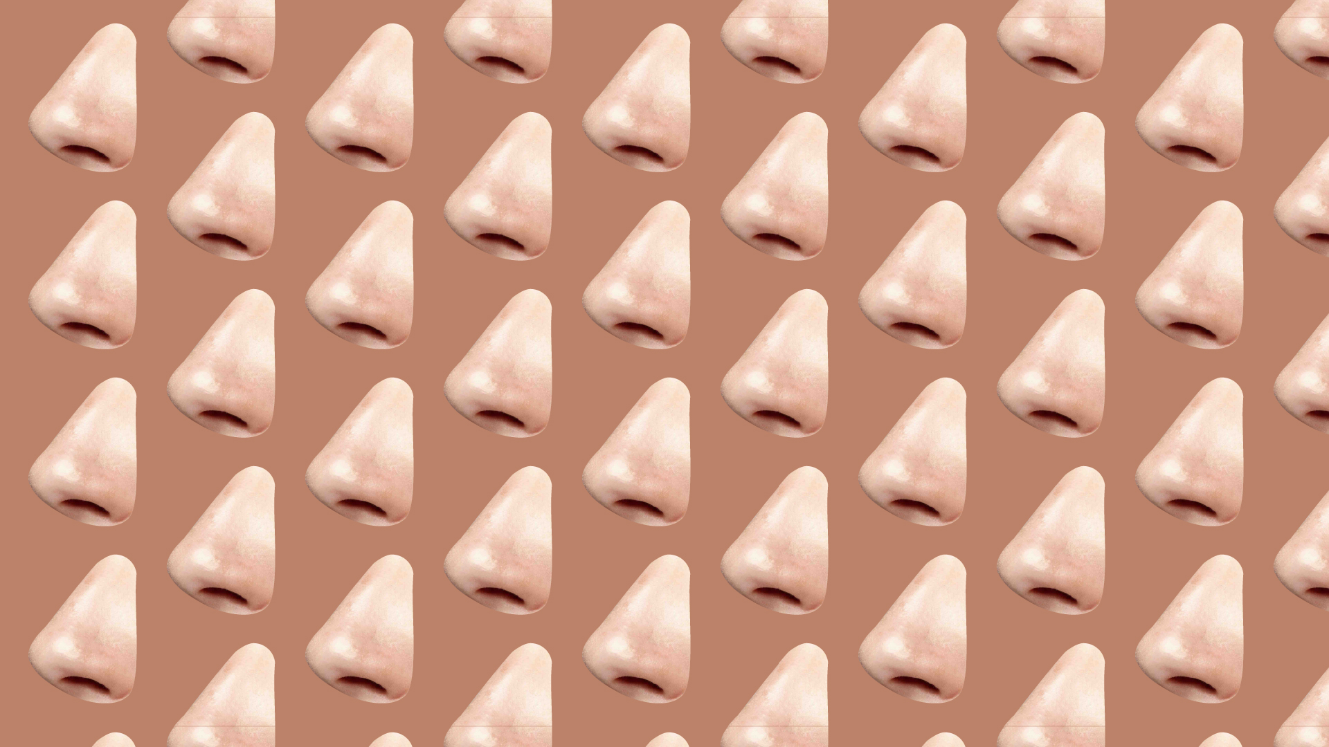 os narizes estão ficando todos iguais – finos e arrebitados, usando filtros, maquiagem ou pequenas intervenções cirúrgicas