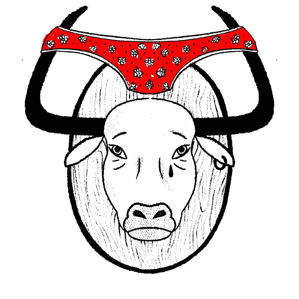 ilustração de cabeça de boi com calcinha nos chifres