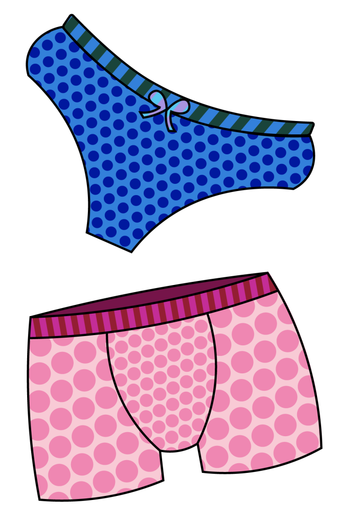 ilustração de cueca rosa e calcinha azul