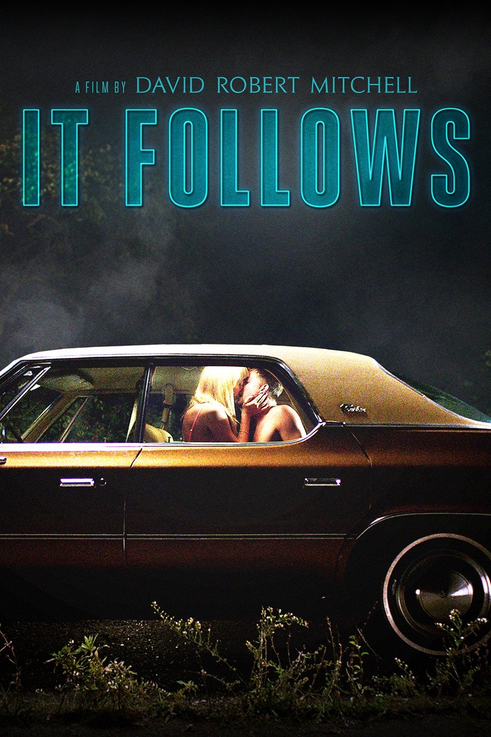 it follows (2014)