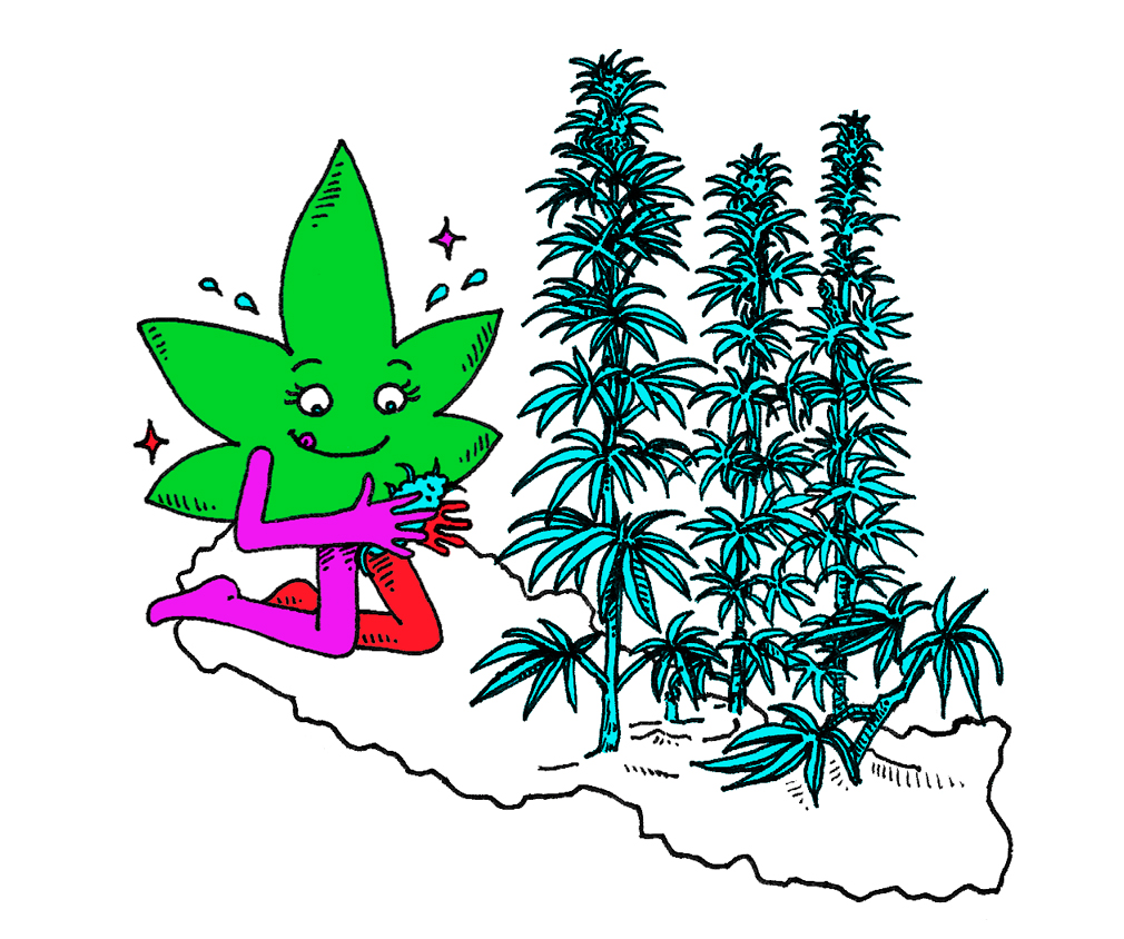 ilustração de folha de maconha plantando maconha em cima do mapa do nepal