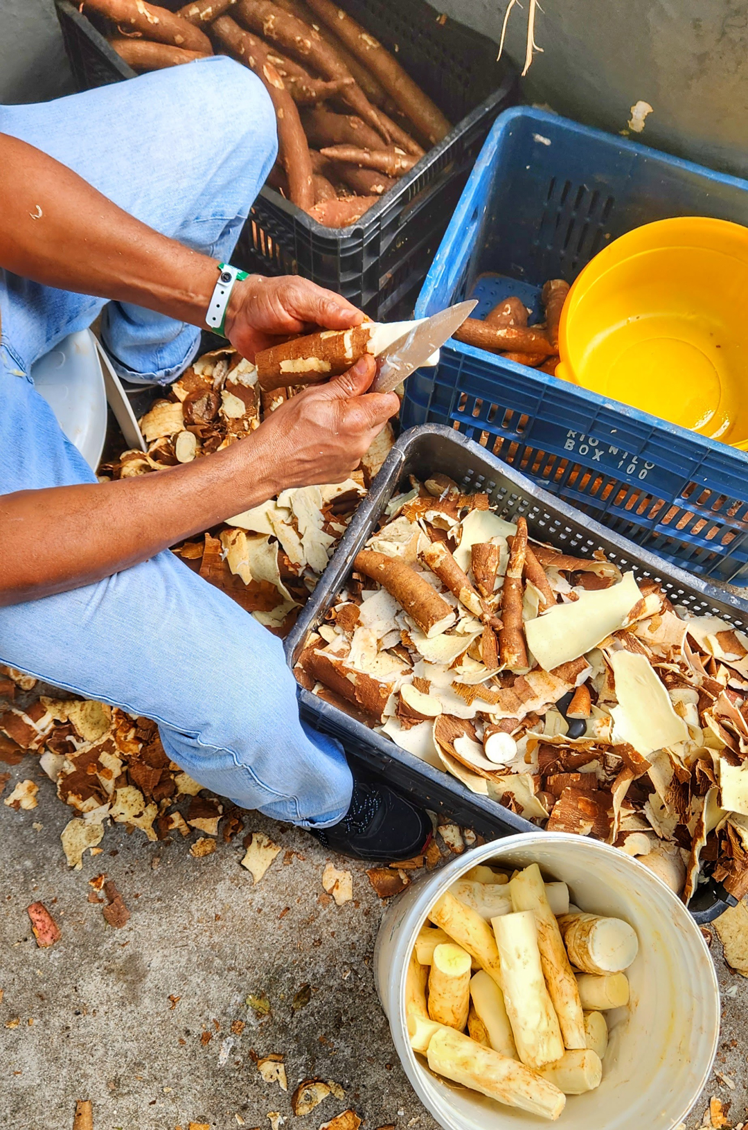 4a Feira da Reforma agrária - MST